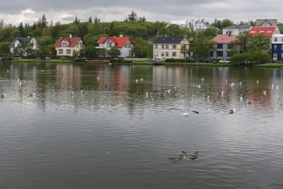 Tjrnin Lake