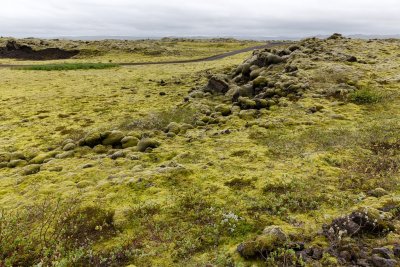 Lava Field