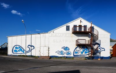 Hsavk whale museum