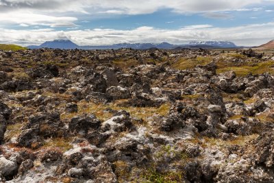 Lava field