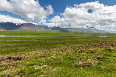 Icelandic Farm