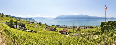 Lavaux Vineyard Terraces