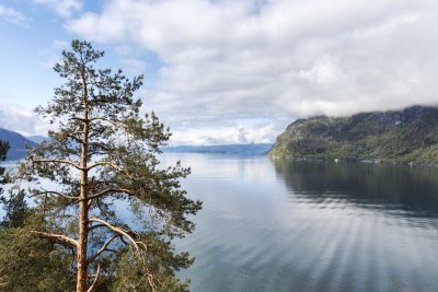 g9/22/546822/3/163607195.uCVVEC90.jpg