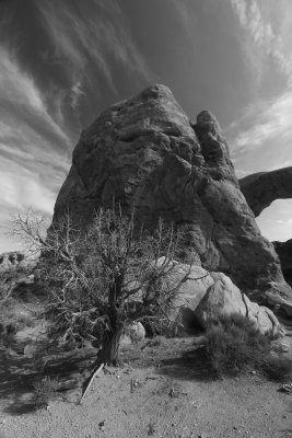 Arches NP 03
