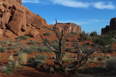 Arches NP 04