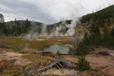 Yellowstone 01