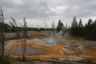 Yellowstone 03