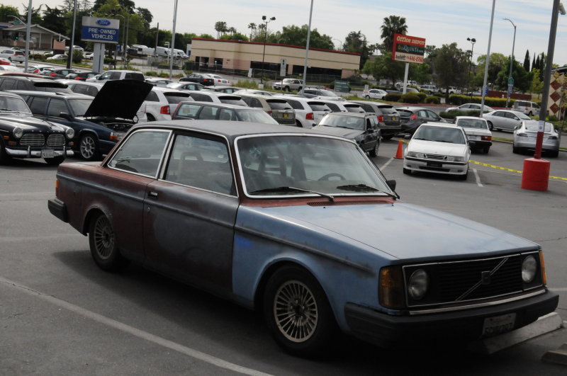 DSC_0464.JPG