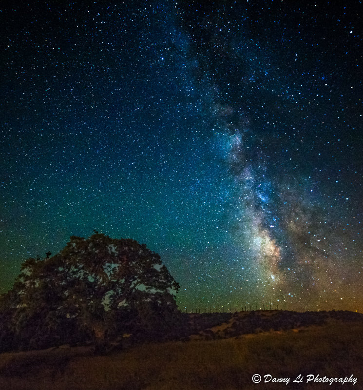 _Z1E2623-Edit.jpg