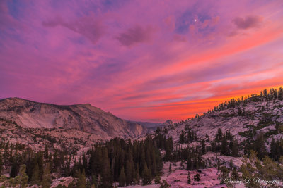 Yosemite, August 02, 2014