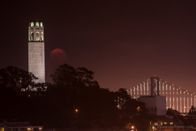 Super Moon, September, 2014