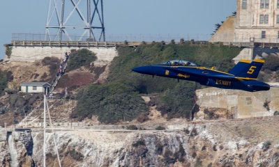 D11H9560.jpg