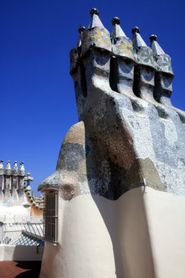 roof of casa batllo.jpg