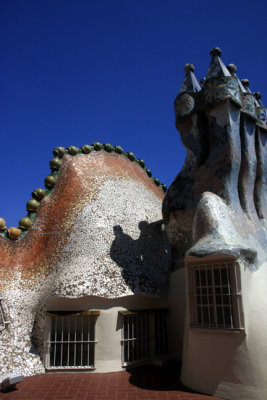 roof of casa batllo 2.jpg