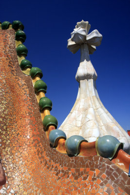 roof of casa batllo 3.jpg