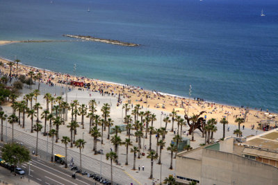 beach.jpg