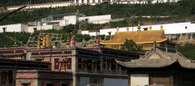 gold roof.jpg