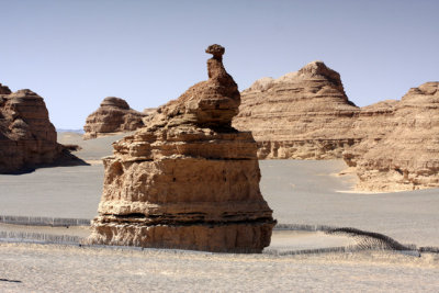 peacock at yardang landform park.jpg