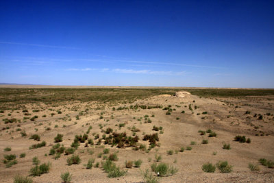 gobi 1.jpg
