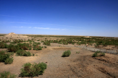 gobi.jpg