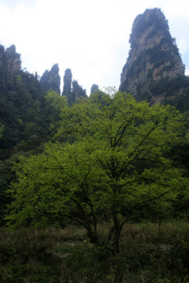 ten mile gallary 09.jpg