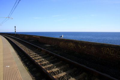 Cinque Terre 7.jpg