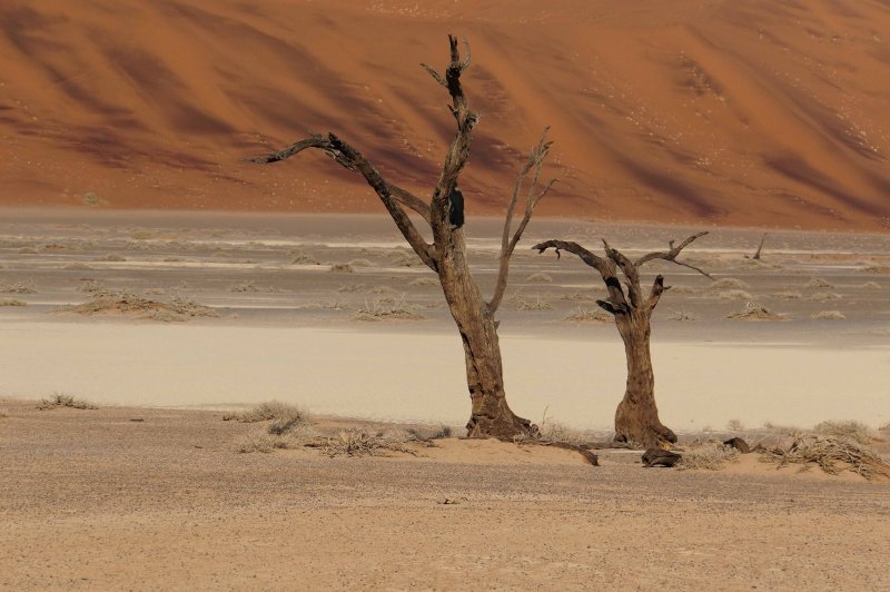 Would-be Lake