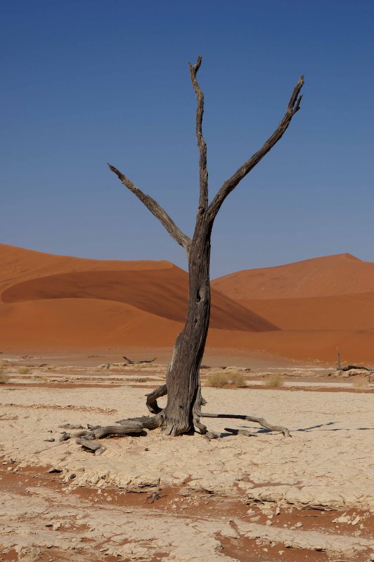 Hiddenvlei