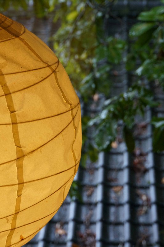 Lantern