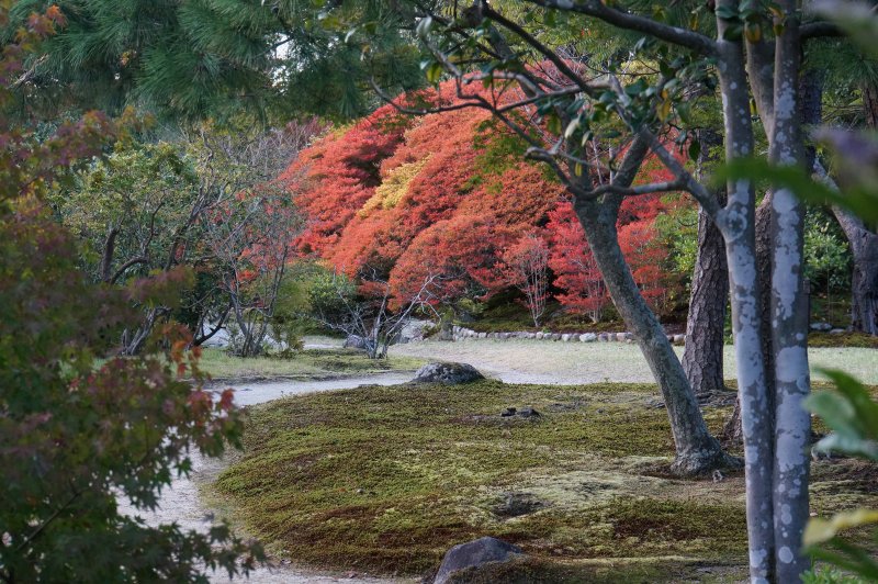 Nara