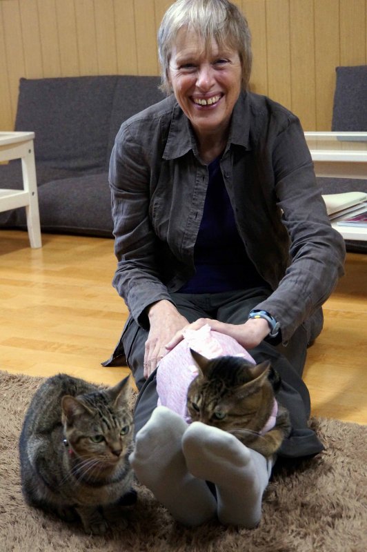 Cat Cafe
