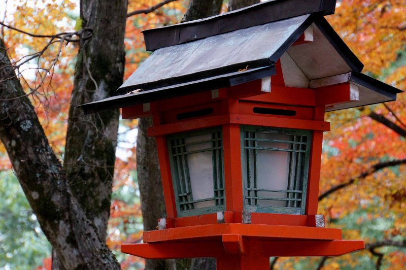 Lantern