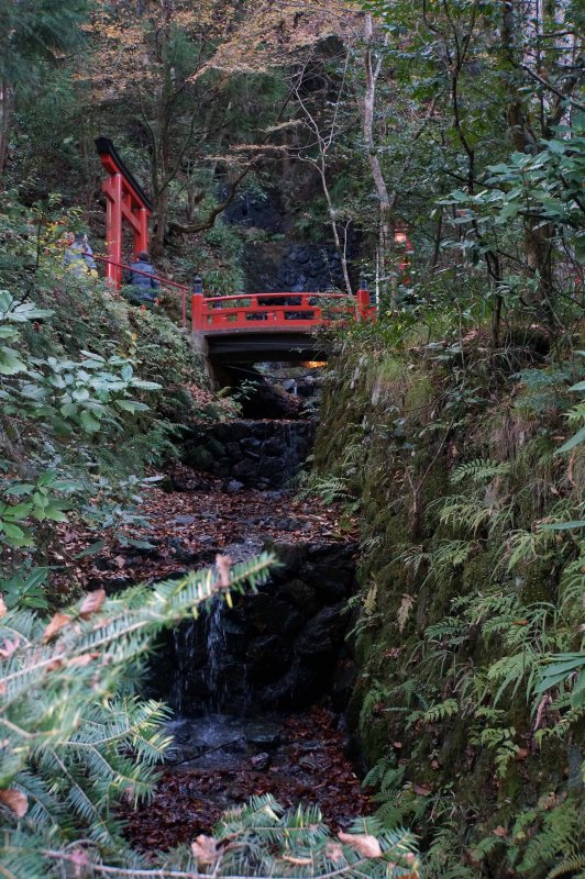 Bridge