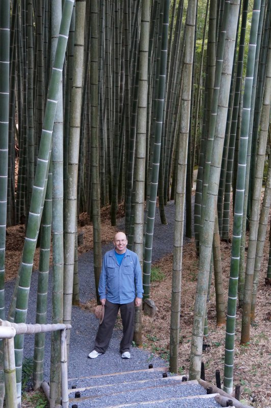Bamboo Guy