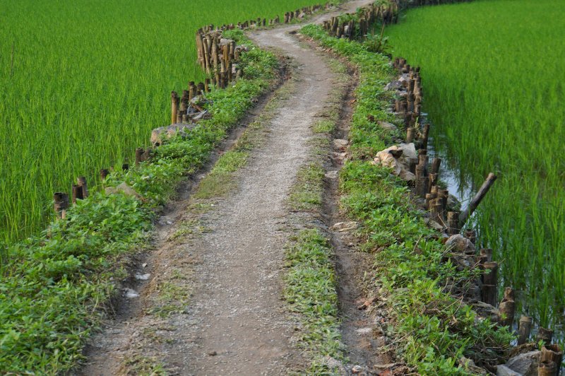 Road