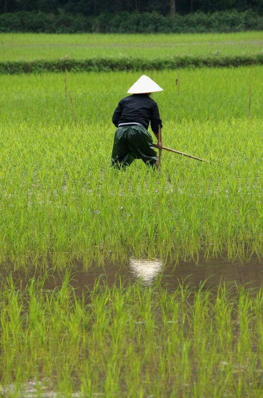 Around Ninh Binh