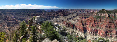 Grand Canyon's North Rim, AZ