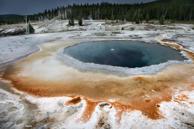 Yellowstone National Park, Old Faithful Area, Crested Pool, WY