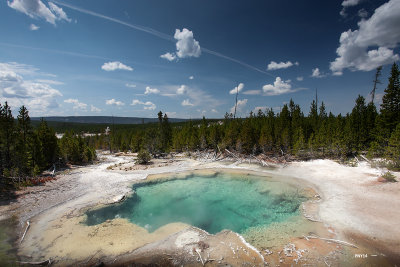 Yellowstone National Park,Norris Area, Emerald Spring, WY