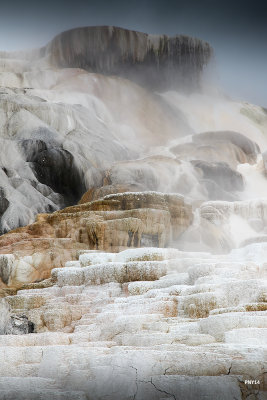 Yellowstone National Park, Mammoth Hot Springs, WY