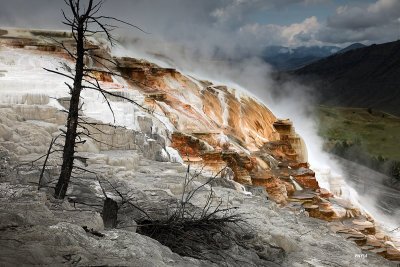 Yellowstone National Park, Mammoth Hot Springs, WY
