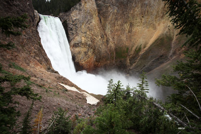 Yellowstone National Park, Grand Canyon of the Yellowstone, Upper falls, WY
