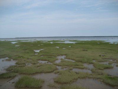 L'estuaire du St-Laurent à marée basse