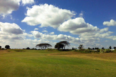 Sherwood