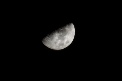 _DSC1131.jpg