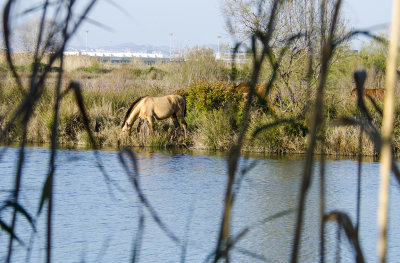 _DSC2112_0326.jpg