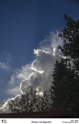 161127-332.jpg