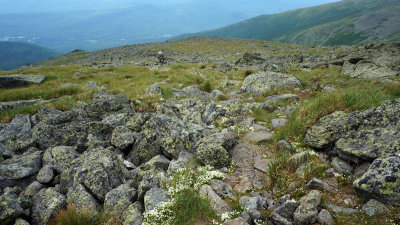DSC04886.jpg