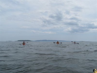 IMG_8836.JPG