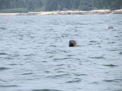 IMG_8846.JPG